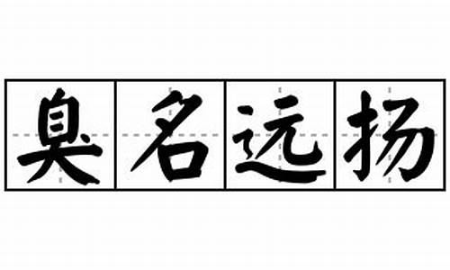 臭名远扬造句大全二年级_臭名远扬造句大全