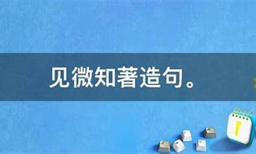 见微知著造句30字怎么写_见微知著造句30字怎么写好看