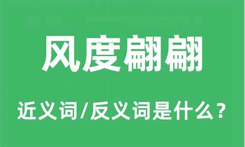 风度翩翩造句及意思是什么_风度翩翩的造句和意思